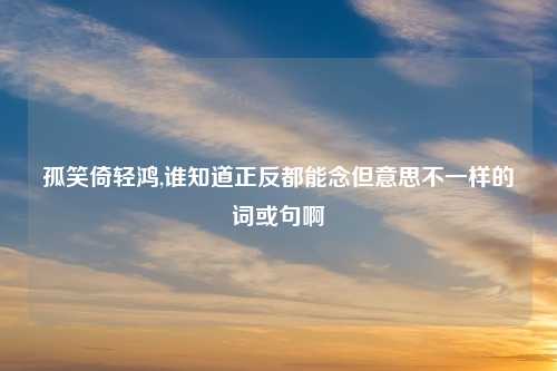 孤笑倚轻鸿,谁知道正反都能念但意思不一样的词或句啊