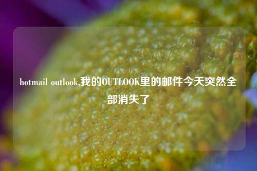 hotmail outlook,我的OUTLOOK里的邮件今天突然全部消失了