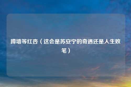 蹲墙等红杏（这会是苏安宁的奇遇还是人生败笔）