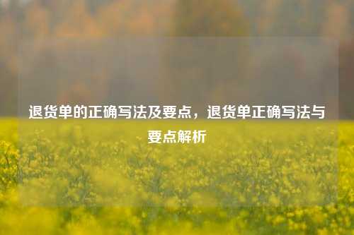 退货单的正确写法及要点，退货单正确写法与要点解析