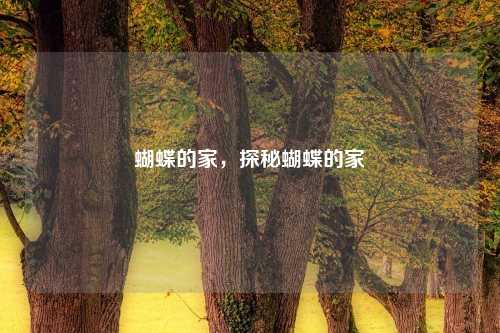 蝴蝶的家,探秘蝴蝶的家