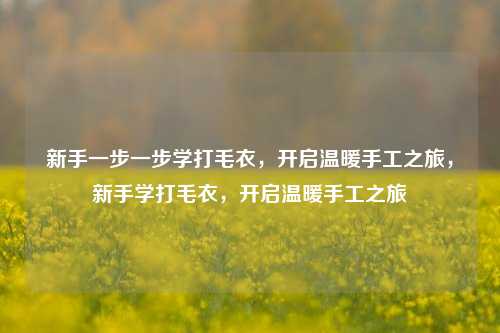 新手一步一步学打毛衣，开启温暖手工之旅，新手学打毛衣，开启温暖手工之旅