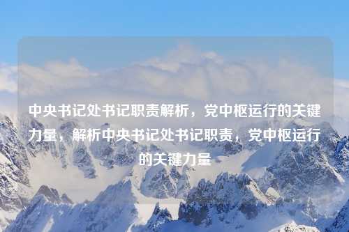中央书记处书记职责解析，党中枢运行的关键力量，解析中央书记处书记职责，党中枢运行的关键力量