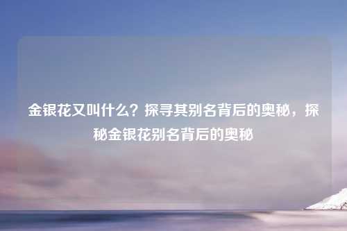 金银花又叫什么？探寻其别名背后的奥秘，探秘金银花别名背后的奥秘