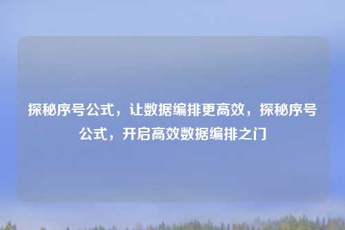 探秘序号公式，让数据编排更高效，探秘序号公式，开启高效数据编排之门