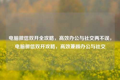 电脑微信双开全攻略，高效办公与社交两不误，电脑微信双开攻略，高效兼顾办公与社交