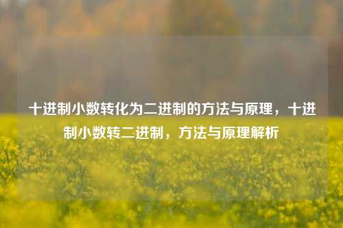 十进制小数转化为二进制的方法与原理,十进制小数转二进制,方法与原理解析 十进制小数转化为二进制的方法与原理,十进制小数转二进制,方法与原理解析