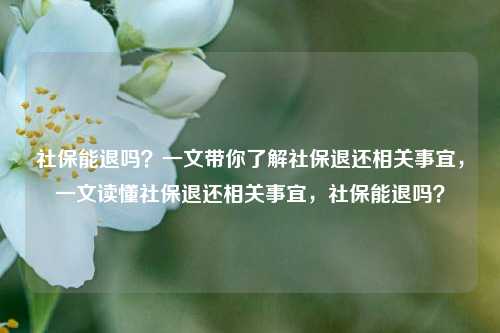 社保能退吗?一文带你了解社保退还相关事宜,一文读懂社保退还相关事宜,社保能退吗? 社保能退吗?一文带你了解社保退还相关事宜,一文读懂社保退还相关事宜,社保能退吗?