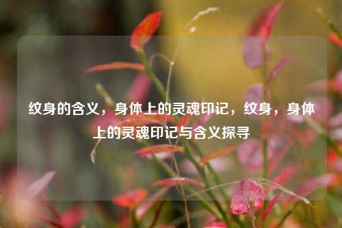 纹身的含义,身体上的灵魂印记,纹身,身体上的灵魂印记与含义探寻 纹身的含义,身体上的灵魂印记,纹身,身体上的灵魂印记与含义探寻