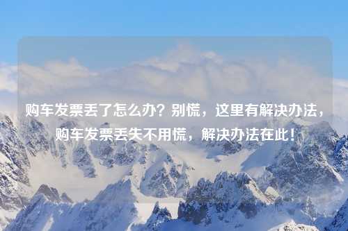 购车发票丢了怎么办？别慌，这里有解决办法，购车发票丢失不用慌，解决办法在此！
