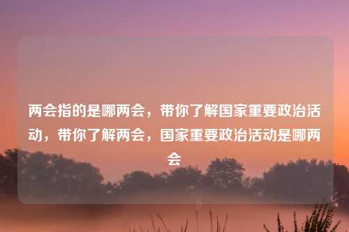 两会指的是哪两会,带你了解国家重要政治活动,带你了解两会,国家重要政治活动是哪两会
