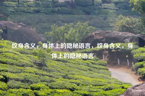 纹身含义,身体上的隐秘语言,纹身含义,身体上的隐秘语言