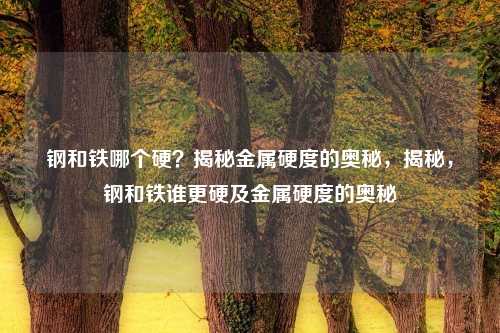 钢和铁哪个硬?揭秘金属硬度的奥秘,揭秘,钢和铁谁更硬及金属硬度的奥秘