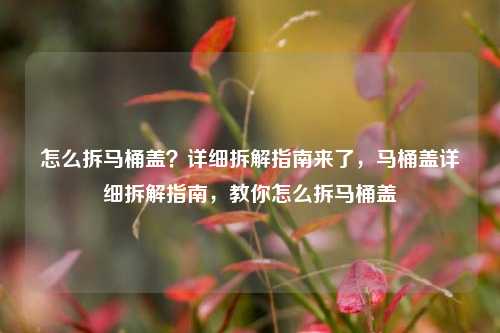 怎么拆马桶盖?详细拆解指南来了,马桶盖详细拆解指南,教你怎么拆马桶盖 怎么拆马桶盖?详细拆解指南来了,马桶盖详细拆解指南,教你怎么拆马桶盖