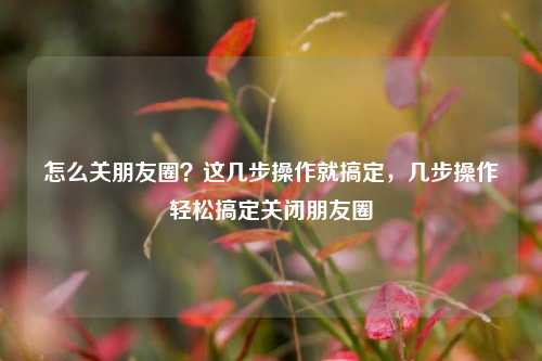 怎么关朋友圈?这几步操作就搞定,几步操作轻松搞定关闭朋友圈 怎么关朋友圈?这几步操作就搞定,几步操作轻松搞定关闭朋友圈