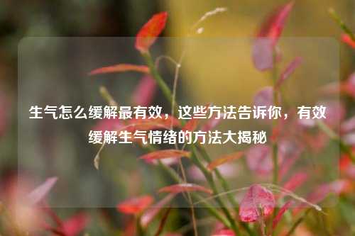 生气怎么缓解最有效,这些方法告诉你,有效缓解生气情绪的方法大揭秘 生气怎么缓解最有效,这些方法告诉你,有效缓解生气情绪的方法大揭秘