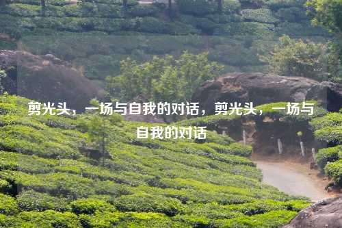 剪光头,一场与自我的对话,剪光头,一场与自我的对话 剪光头,一场与自我的对话,剪光头,一场与自我的对话