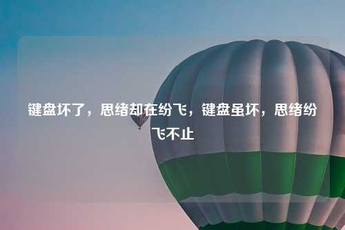 键盘坏了,思绪却在纷飞,键盘虽坏,思绪纷飞不止 键盘坏了,思绪却在纷飞,键盘虽坏,思绪纷飞不止