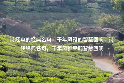 诗经中的经典名句,千年风雅的智慧回响,诗经经典名句,千年风雅里的智慧回响 诗经中的经典名句,千年风雅的智慧回响,诗经经典名句,千年风雅里的智慧回响