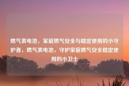 燃气表电池,家庭燃气安全与稳定使用的小守护者,燃气表电池,守护家庭燃气安全稳定使用的小卫士 燃气表电池,家庭燃气安全与稳定使用的小守护者,燃气表电池,守护家庭燃气安全稳定使用的小卫士