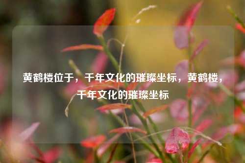 黄鹤楼位于,千年文化的璀璨坐标,黄鹤楼,千年文化的璀璨坐标 黄鹤楼位于,千年文化的璀璨坐标,黄鹤楼,千年文化的璀璨坐标