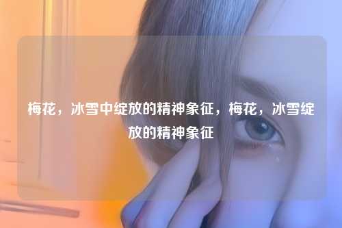 梅花，冰雪中绽放的精神象征，梅花，冰雪绽放的精神象征