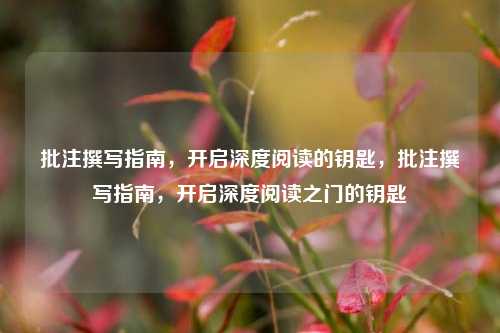 批注撰写指南，开启深度阅读的钥匙，批注撰写指南，开启深度阅读之门的钥匙