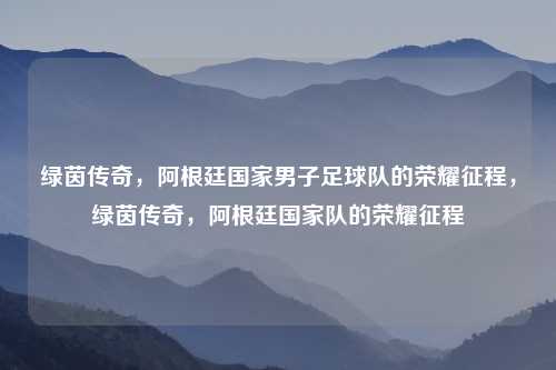 绿茵传奇，阿根廷国家男子足球队的荣耀征程，绿茵传奇，阿根廷国家队的荣耀征程