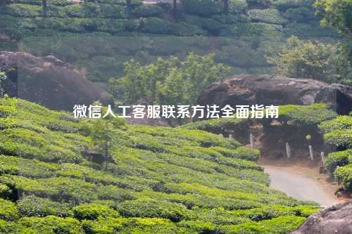 微信人工客服联系方法全面指南