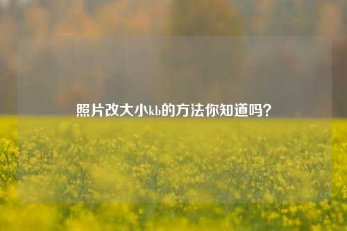 照片改大小kb的方法你知道吗？