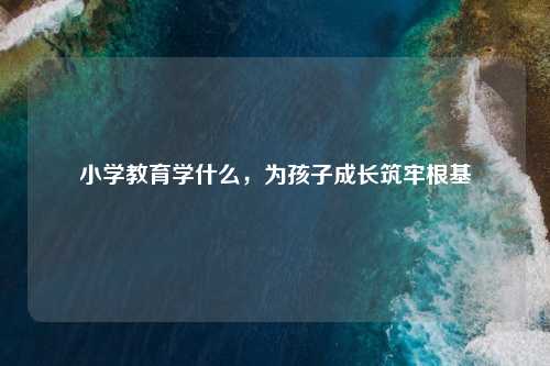 小学教育学什么，为孩子成长筑牢根基