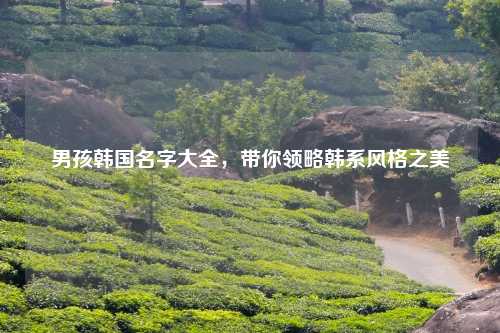 男孩韩国名字大全，带你领略韩系风格之美