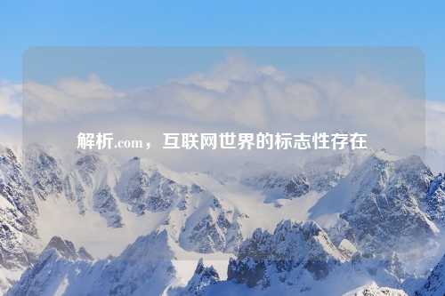解析.com，互联网世界的标志性存在