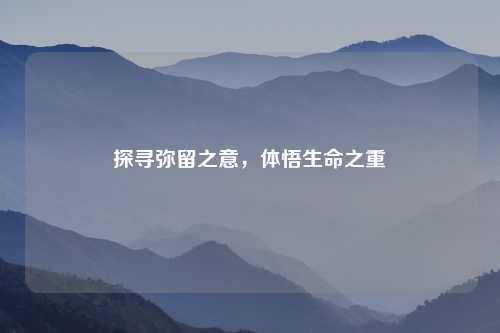探寻弥留之意，体悟生命之重