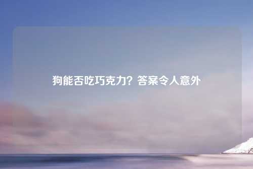 狗能否吃巧克力？答案令人意外