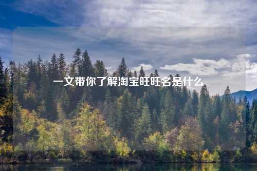 一文带你了解淘宝旺旺名是什么