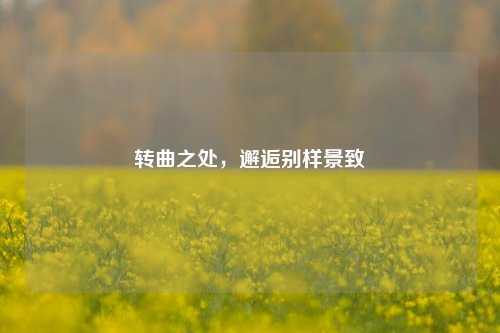 转曲之处，邂逅别样景致