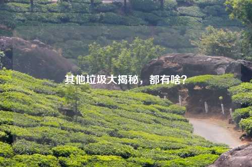 其他垃圾大揭秘,都有啥?