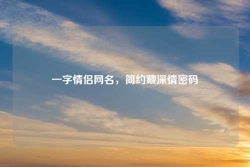一字情侣网名，简约藏深情密码