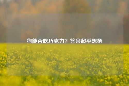狗能否吃巧克力？答案超乎想象