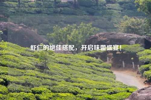 虾仁的绝佳搭配,开启味蕾盛宴!