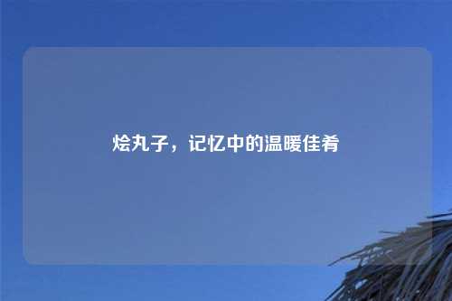 烩丸子，记忆中的温暖佳肴