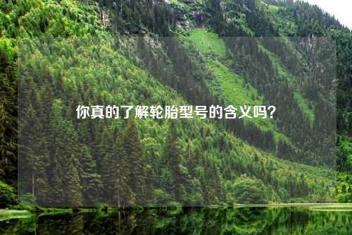 你真的了解轮胎型号的含义吗？