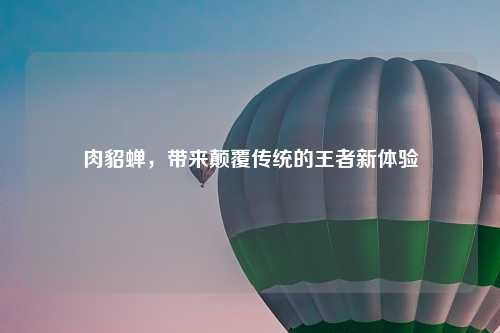 肉貂蝉，带来颠覆传统的王者新体验