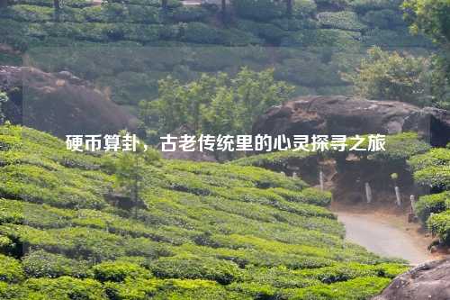 硬币算卦，古老传统里的心灵探寻之旅