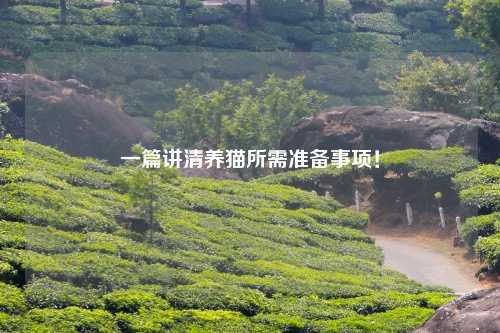 一篇讲清养猫所需准备事项！