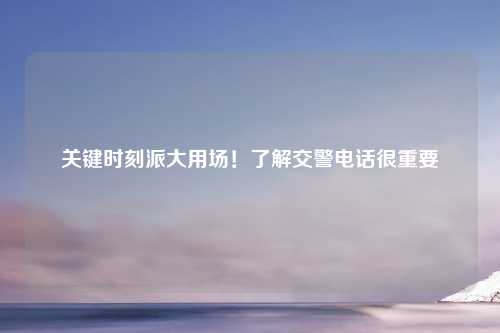 关键时刻派大用场！了解交警 *** 很重要