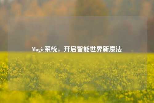 Magic系统，开启智能世界新魔法