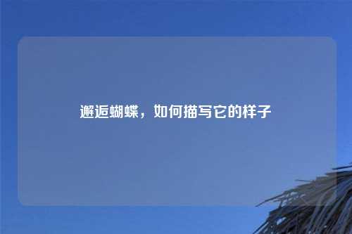 邂逅蝴蝶，如何描写它的样子