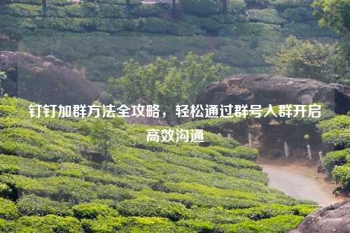 钉钉加群     全攻略，轻松通过群号入群开启高效沟通